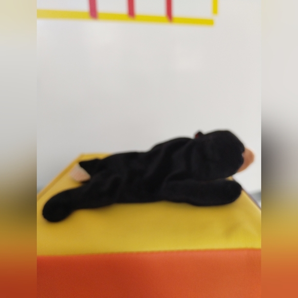 ✓TY Retired Beanie Baby BLACKIE The Black Bear No Hang Tag - Picture 7 of 11